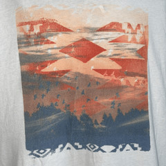 Aeropostale Aztec/Navajo western theme orange/gray/white T-shirt