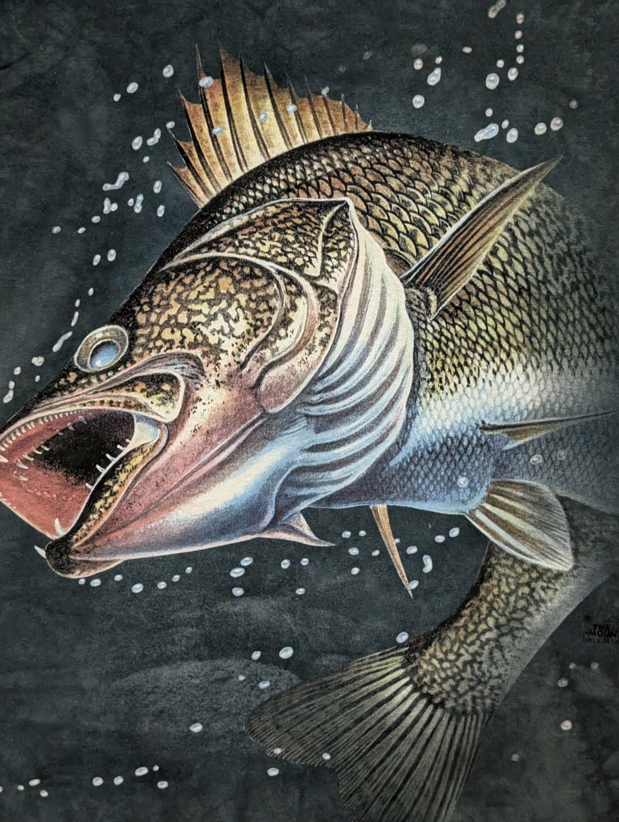 The Mountain Mens T-shirt Blue Walleye Fish Fishing RL 2XL #3037 NWOT