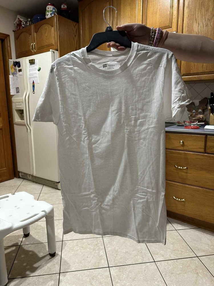 (S) Hanes Men’s Authentic-T Stylish T Shirt Casual Plain T-Shirt (Small)