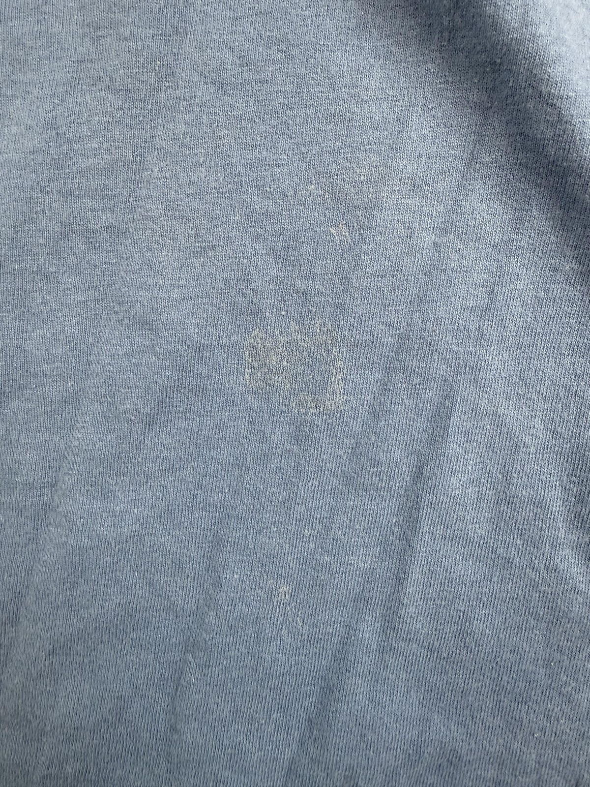 Hanes Shirt Mens Large Blue Alaska Wildlife Moose Graphic Tee Heavyweight gallery