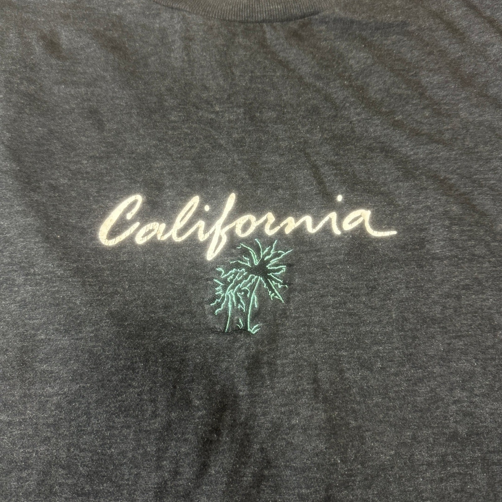 WXYZ Mens California Palm Tree T-Shirt XL Charcoal Teal Contrast Sleeve Graphic gallery