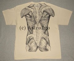 MUSCLES-Leslie Arwin Muscular System Anatomy Science Biology 2-sided T shirt