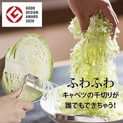 Iidaya Ever peeler replaceable blade type stainless (right-handed) JK01 Japan FS