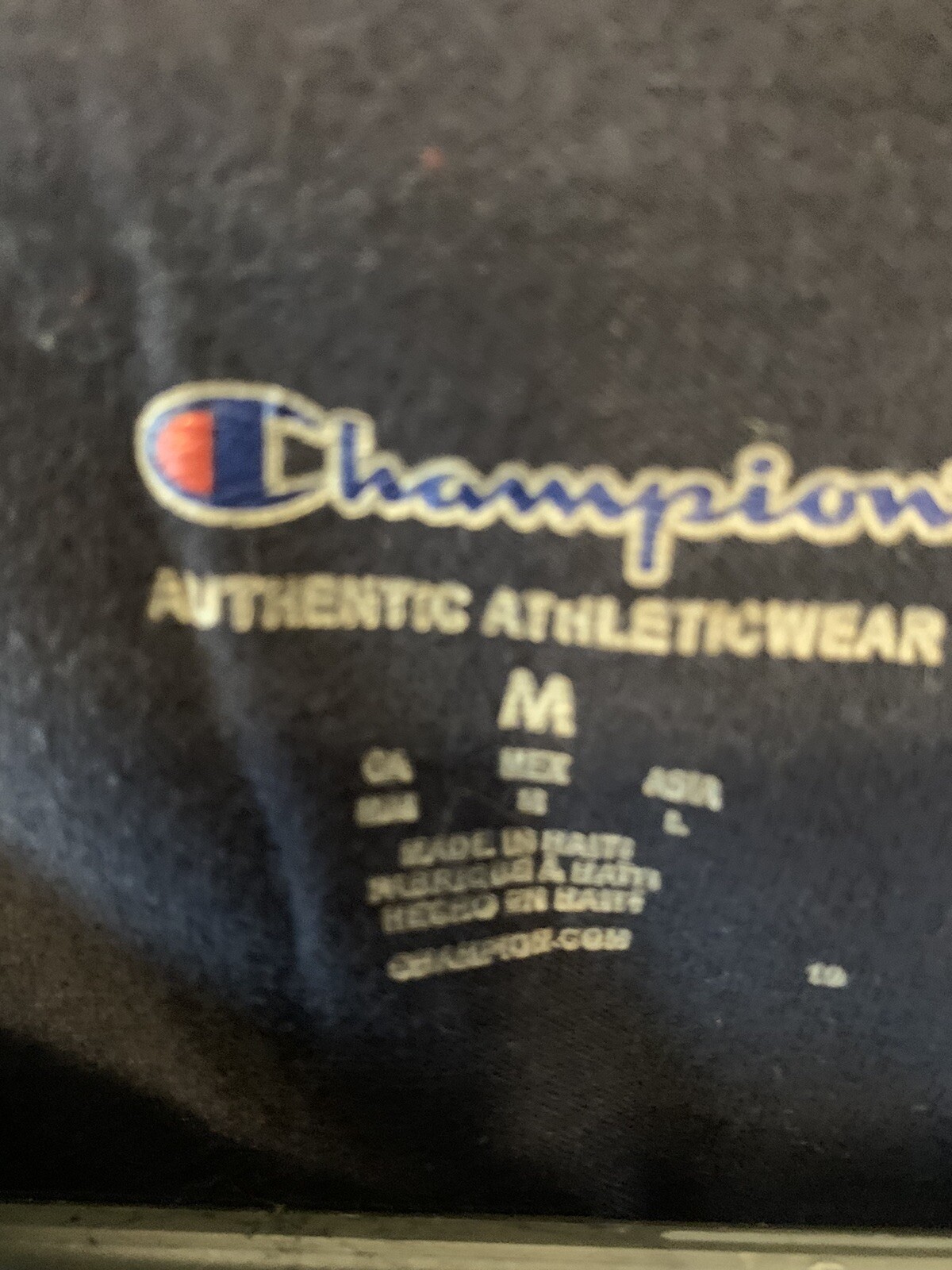 Champion T425 Shirt Adult Medium Blue Logo Casual Outdoors Camping Mens gallery