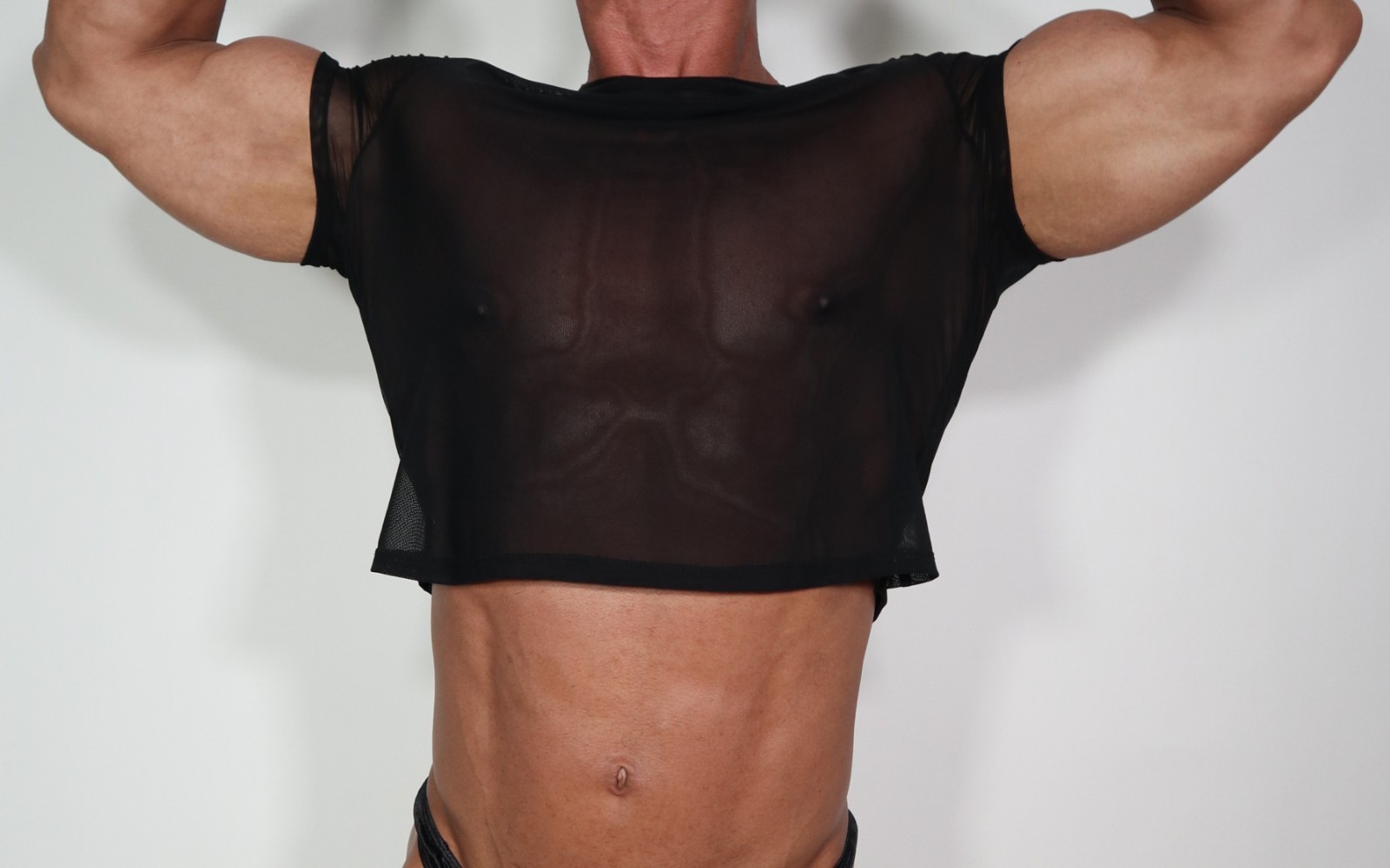 ADULT SHORT SLEEVE CROPPED SHEER SHIRT SIZE M/L gallery