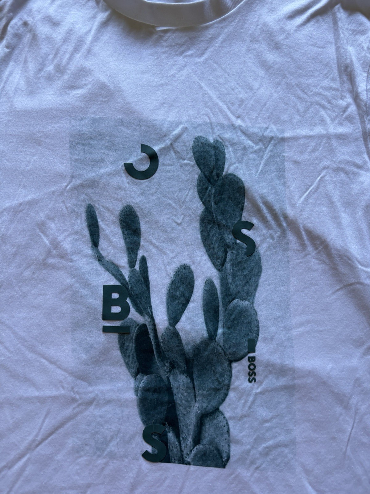 Hugo Boss Cactus Tee Size L Slim Fit gallery