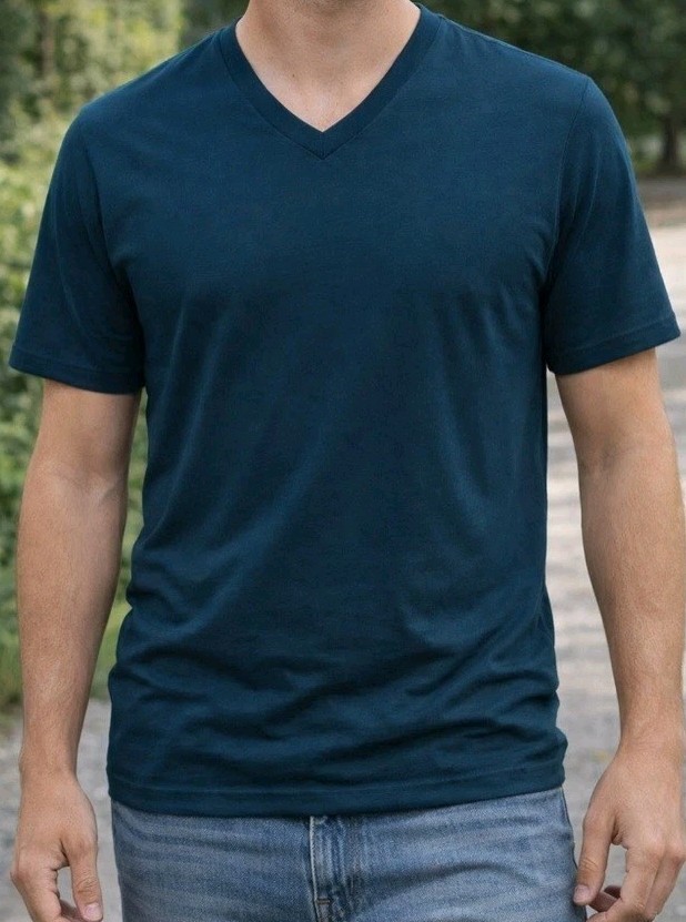 Goodfellow & Co Men’s V-Neck T-Shirts (2) You Pick Large Thunderbolt Blue NWT
