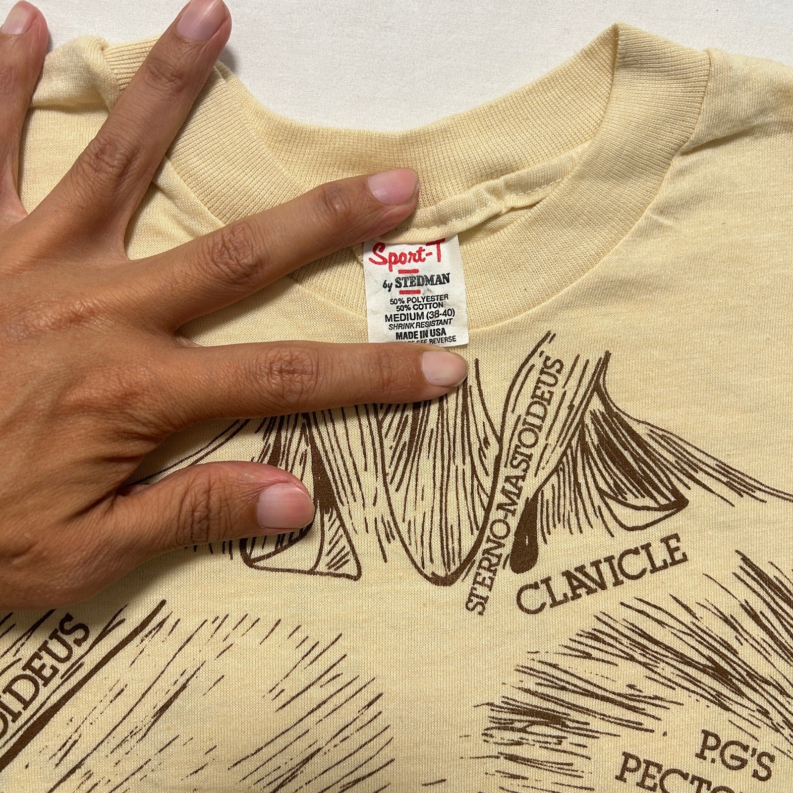 VTG 80s Anatomy Muscle Chart Medical Short Sleeve T-Shirt Men’s M Yellow gallery