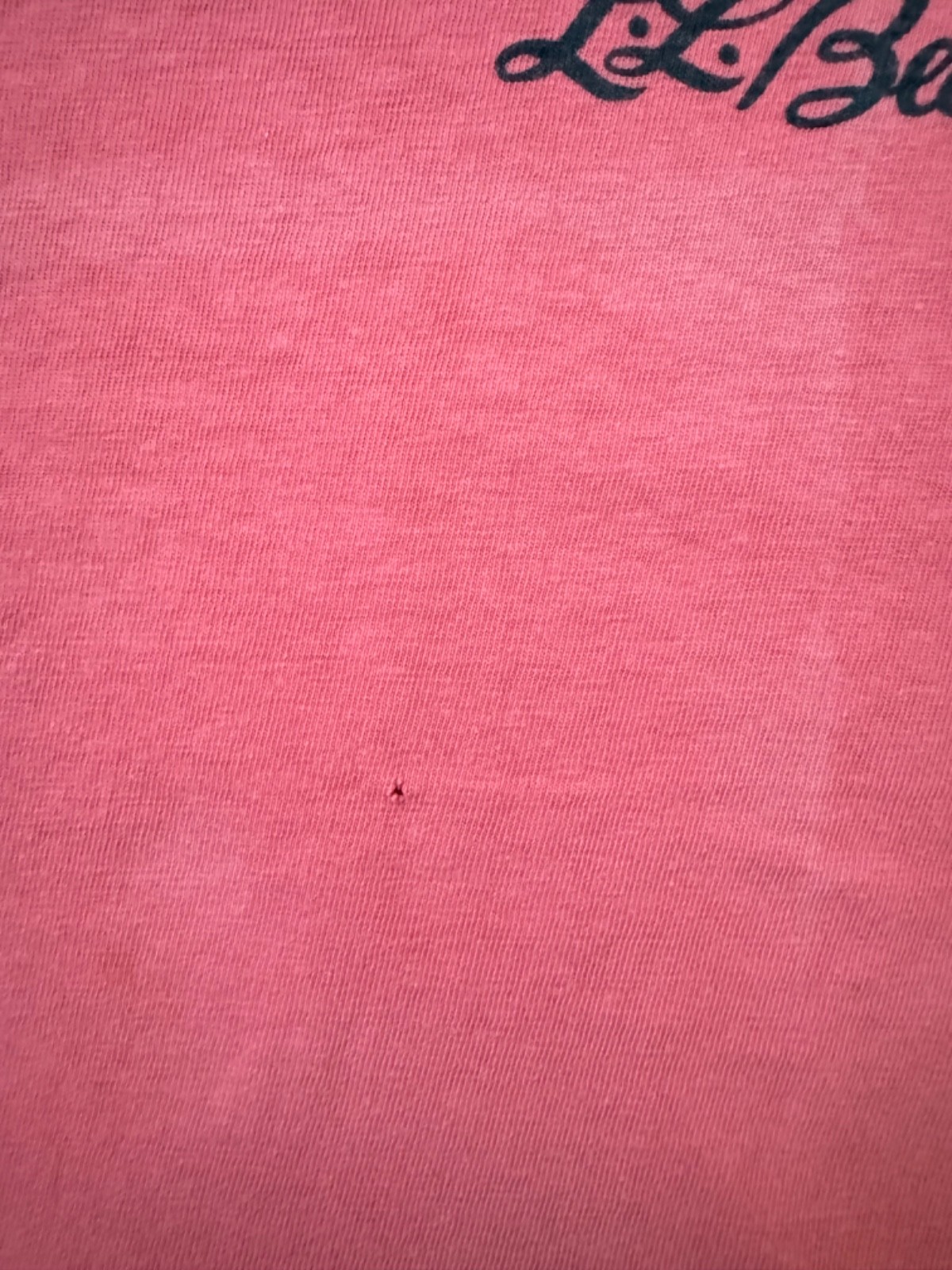 RARE LL BEAN vintage 1980s graphic tee hanes beefy tee single stitch size L gallery