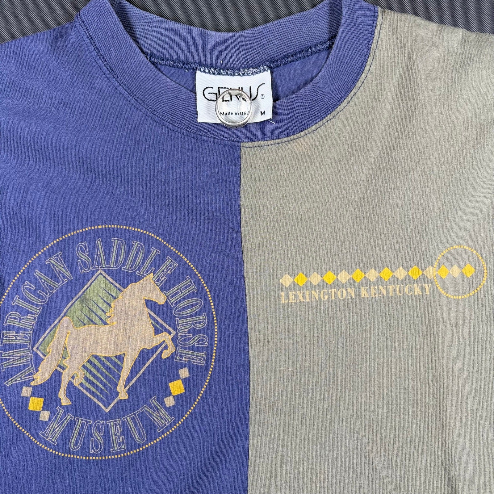 Vintage Genus Two-Tone Color Block Graphic T-Shirt Men's Medium American Saddle gallery