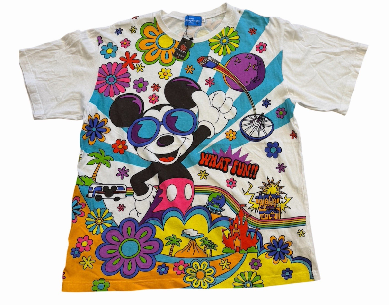 Tokyo Disney Resort gallery