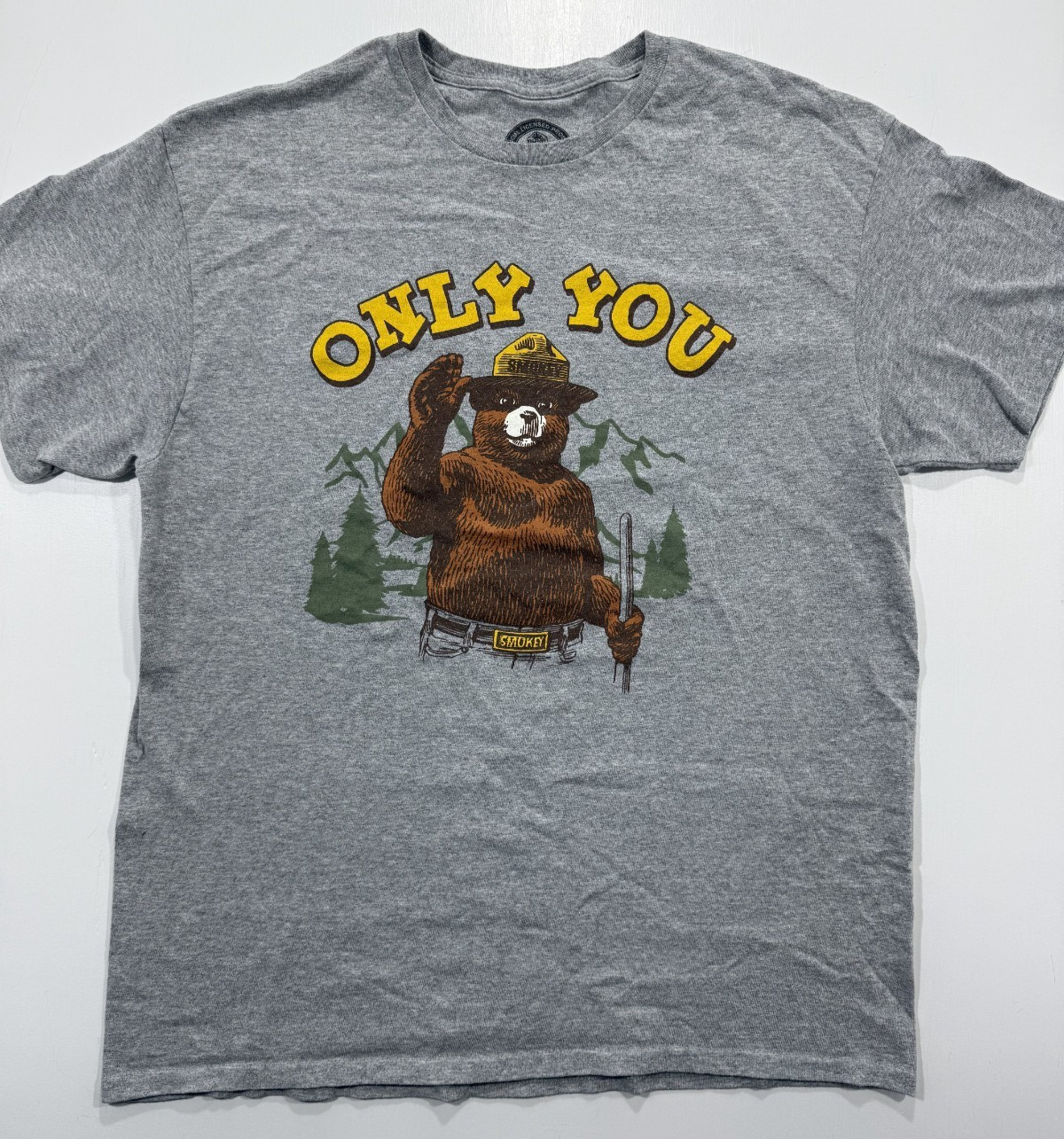 Smokey Bear Only You Forest Fire Prevention T Shirt Mens Large Gray Tee gallery