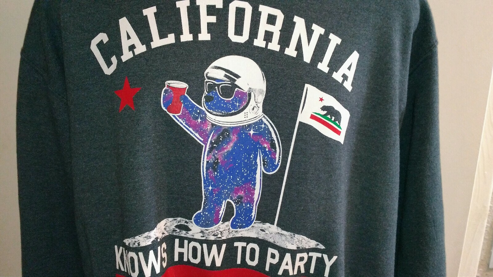 Riot Society Space Bear - Medium - 50% POLY 50% COTTON Sweatshirt - EUC gallery