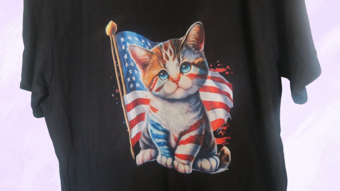 american flag cat graphic t-shirt short sleeves in black, red, white and blue L gallery