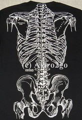 BONES-Leslie Arwin Skeleton Anatomy Biology Life Science Medical 2 sided T shirt
