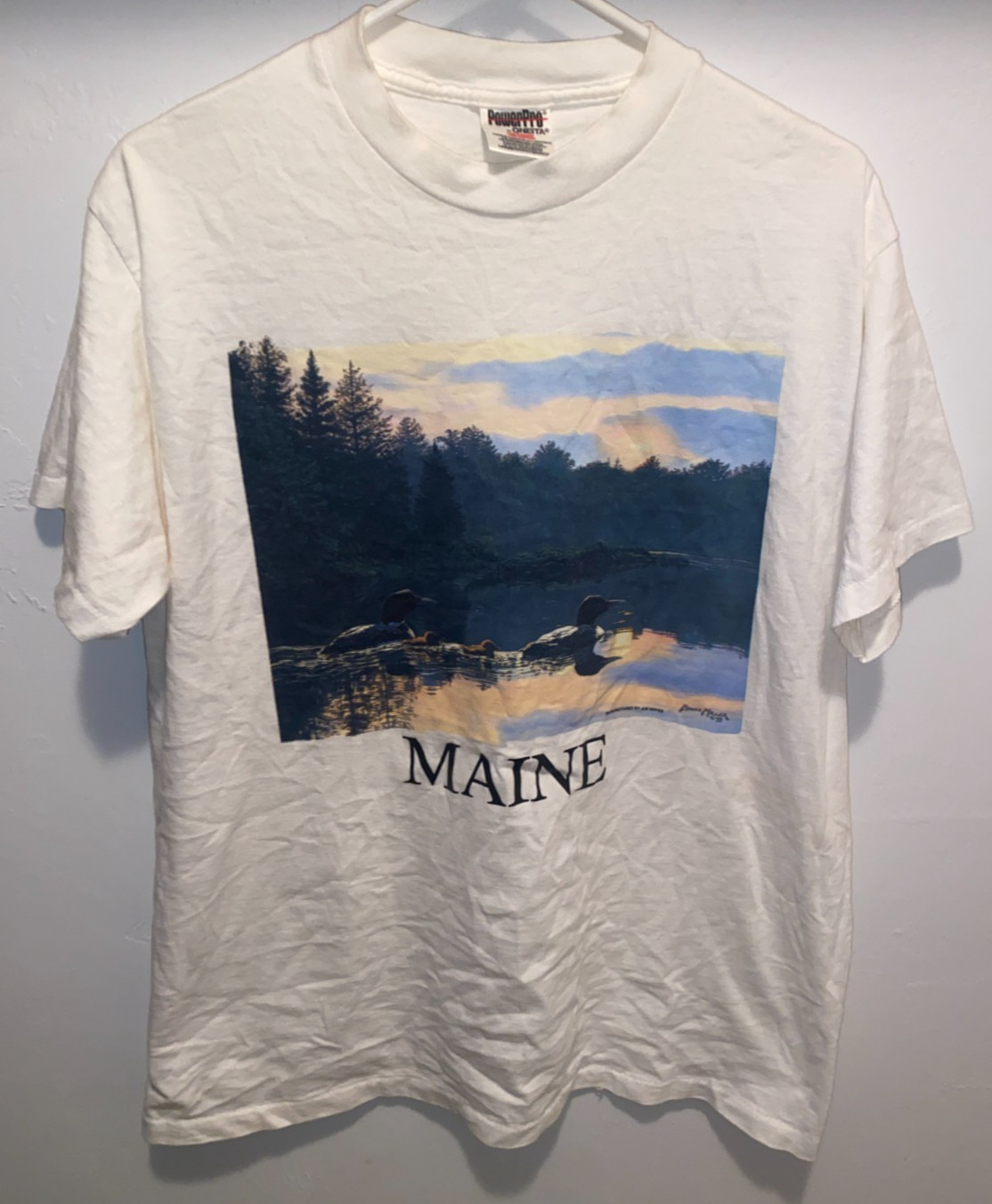 Oneita Shirt Mens L White Vintage USA Maine VTG Tee Travel Vacation Lake Forest gallery