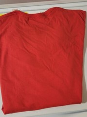 The Flash – Flash Logo – T Shirt – Mens Graphic T Shirt – Red – Small