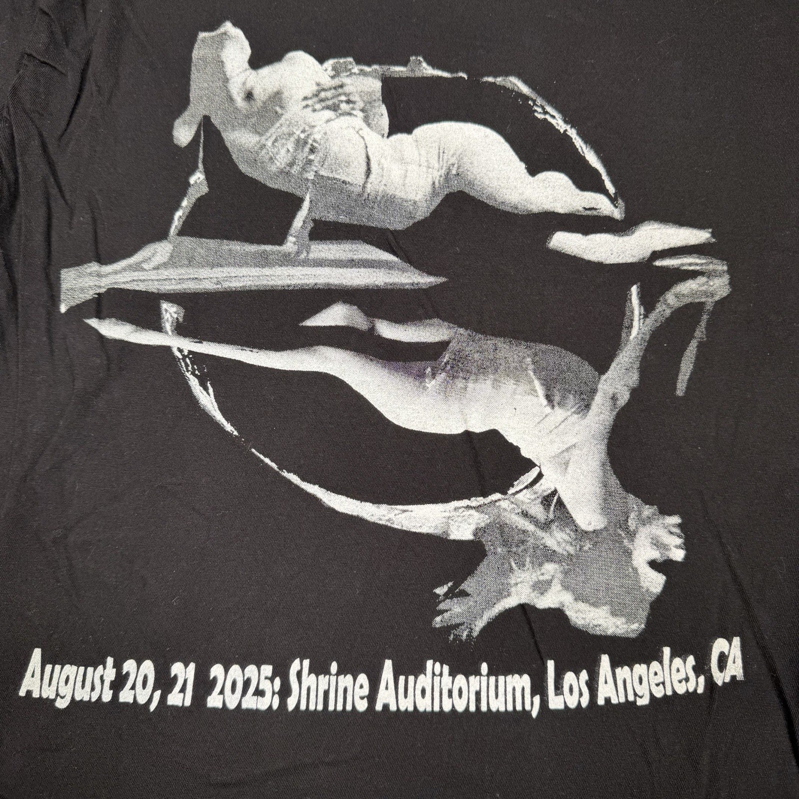Ethel Cain Shirt Men’s Medium perverts tour goth grunge The Shrine Los Angeles gallery