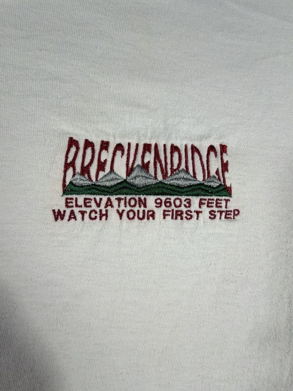 Embroidered Breckenridge T-shirt: elevated shirt gallery