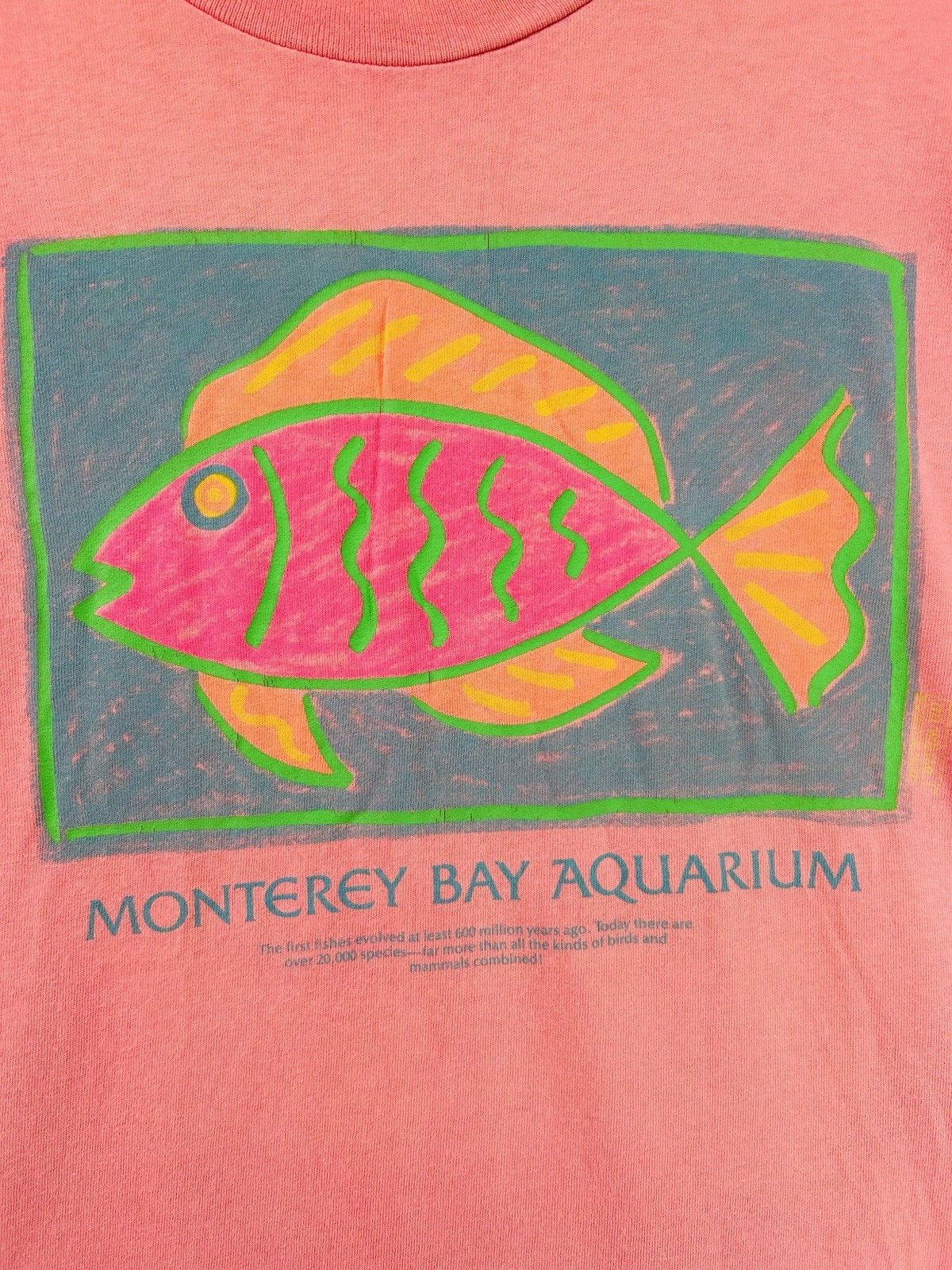 Vtg Monterey Bay Aquarium Tropical Fish T-shirt Pink Retro Tee Sea Life XL gallery