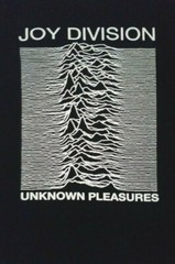 NEW- JOY DIVISION – UNKNOWN PLEASURES – BAND T-SHIRT