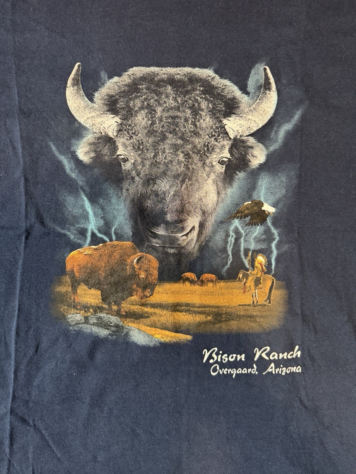 Gildan Ultra Cotton Men's Navy Bison Ranch Graphic Crew Tee Short Sleeve L gallery