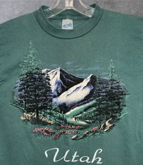 Vintage 80’s Utah Nature / Art Tee Single Stitch T Shirt Medium 19”x26.5”