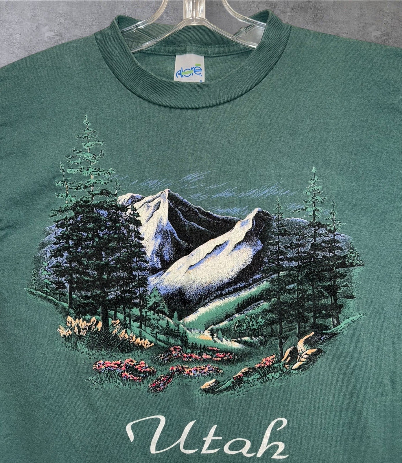 Vintage 80’s Utah Nature / Art Tee Single Stitch T Shirt Medium 19”x26.5”