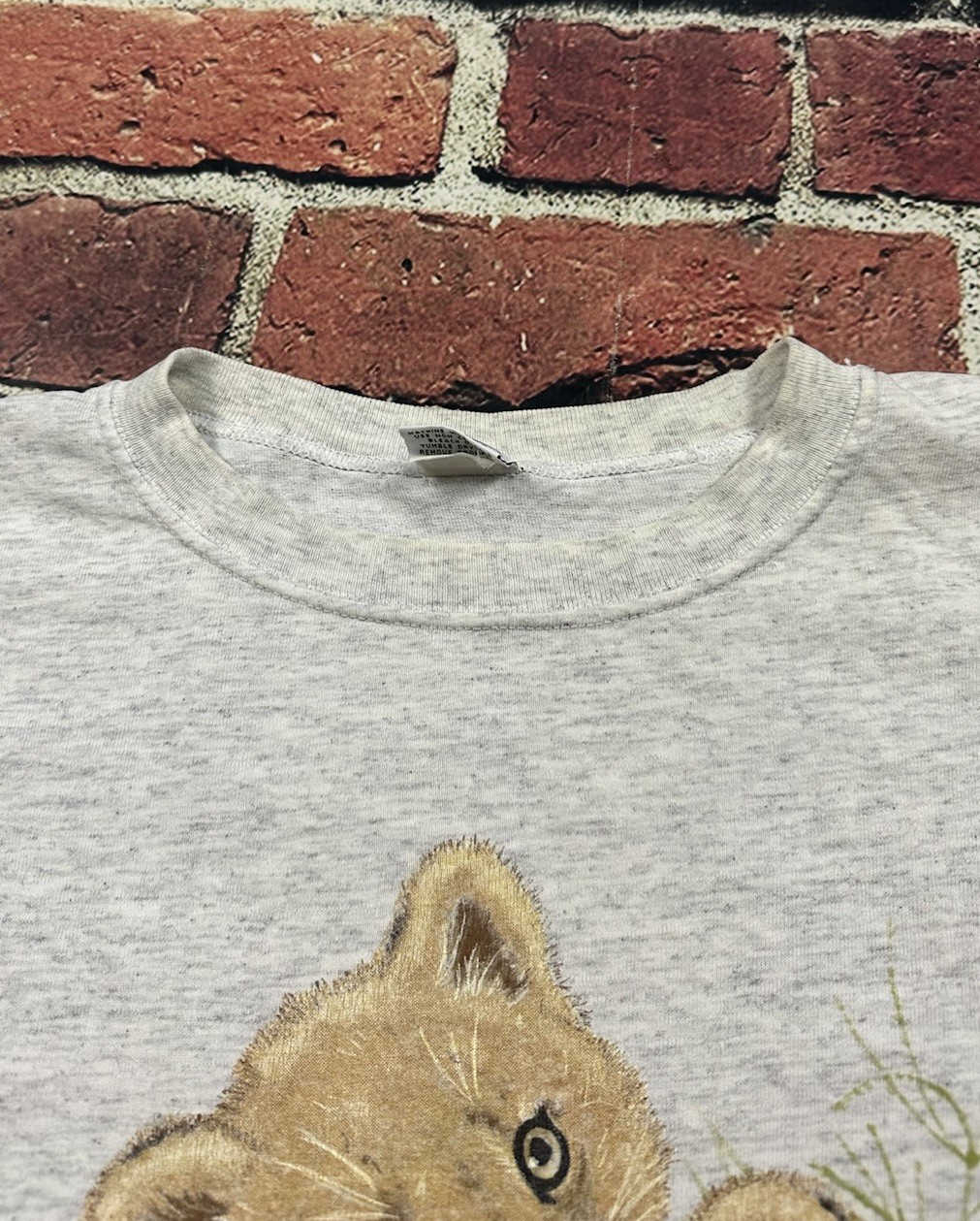 Vintage Endangered Young’uns Lion Cubs Nature Art T-Shirt Osfa 1994 90s Animal gallery