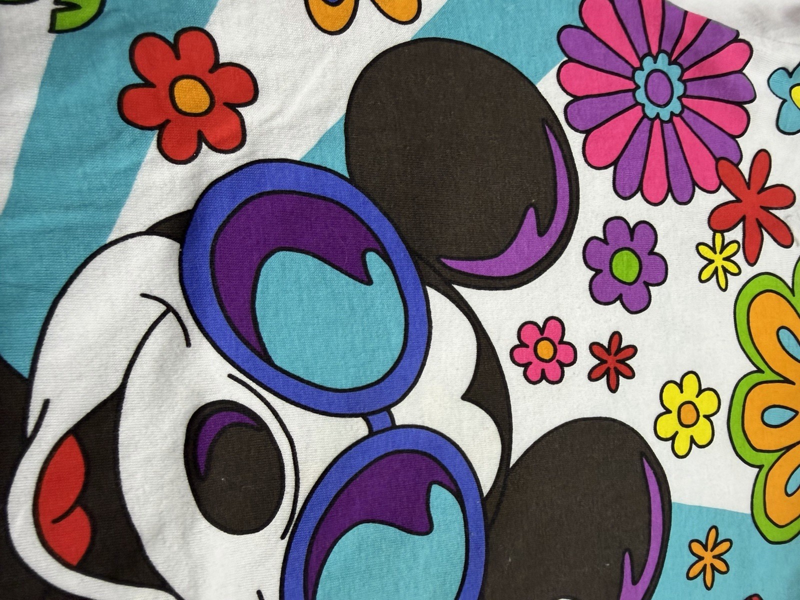 Tokyo Disney Resort gallery