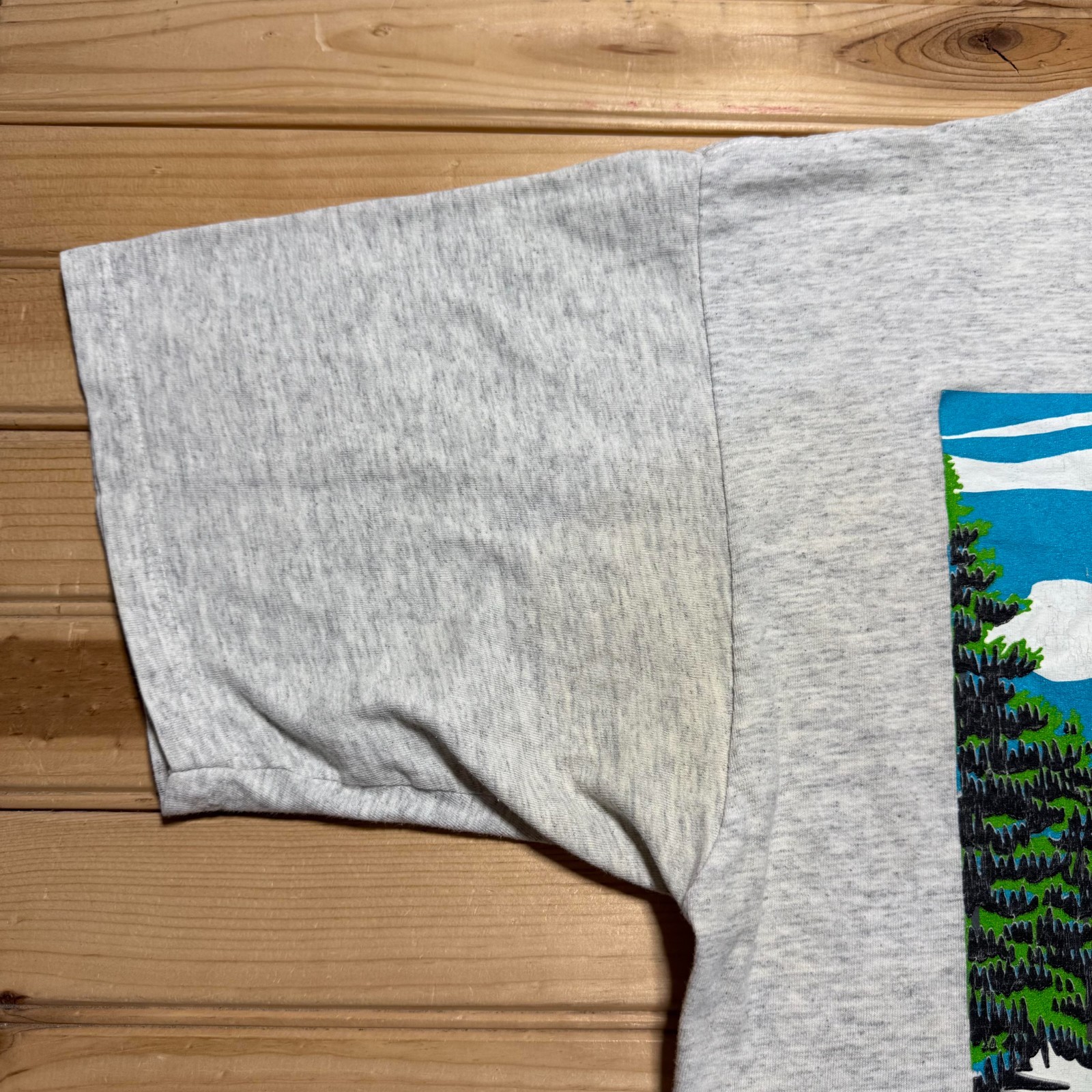 Vintage 90s National Wildlife Federation Eagle Nature Graphic T-Shirt USA - 2XL gallery