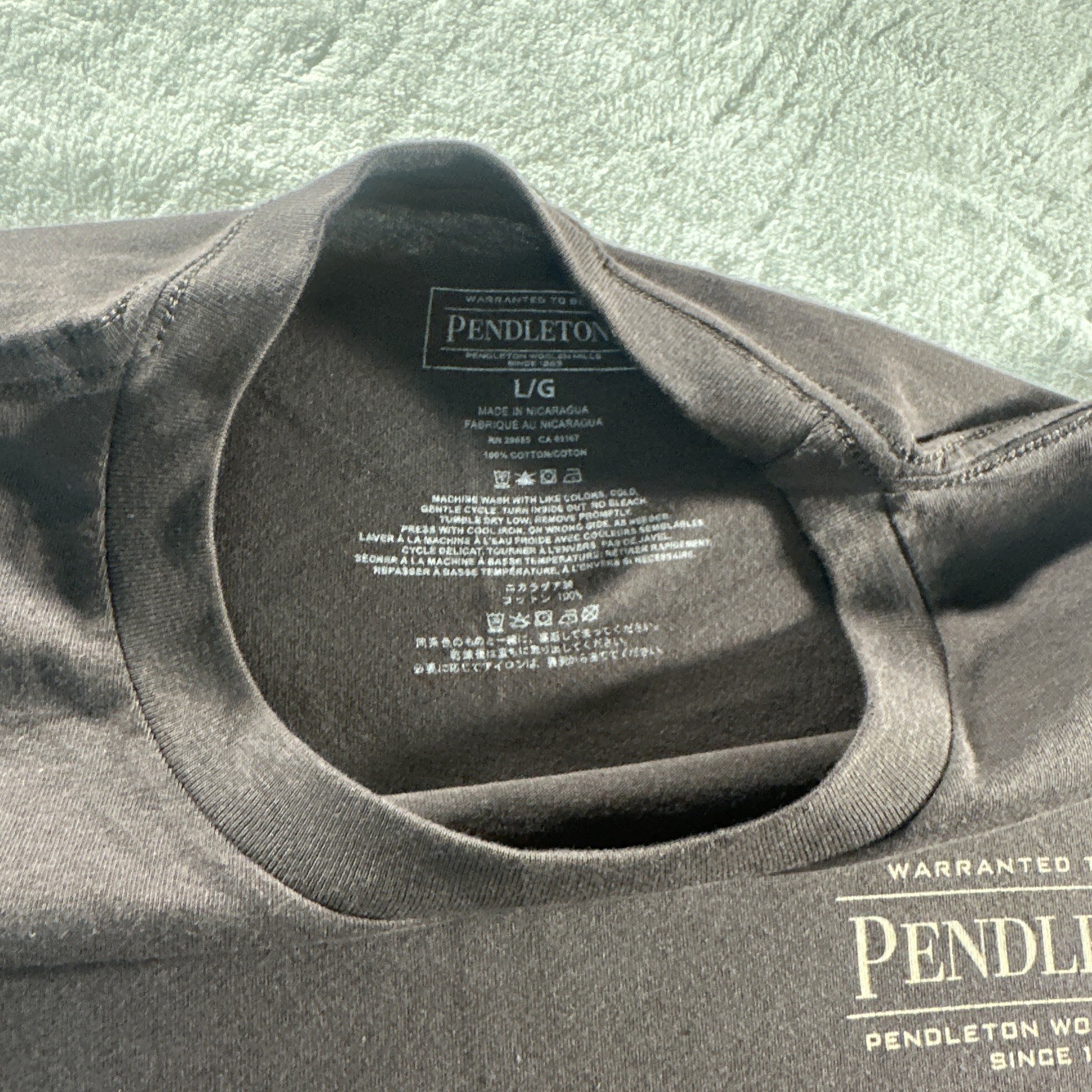Pendleton Men’s graphic T Shirt Brown Short Sleeve Outdoors Camping LARGE NWOT gallery