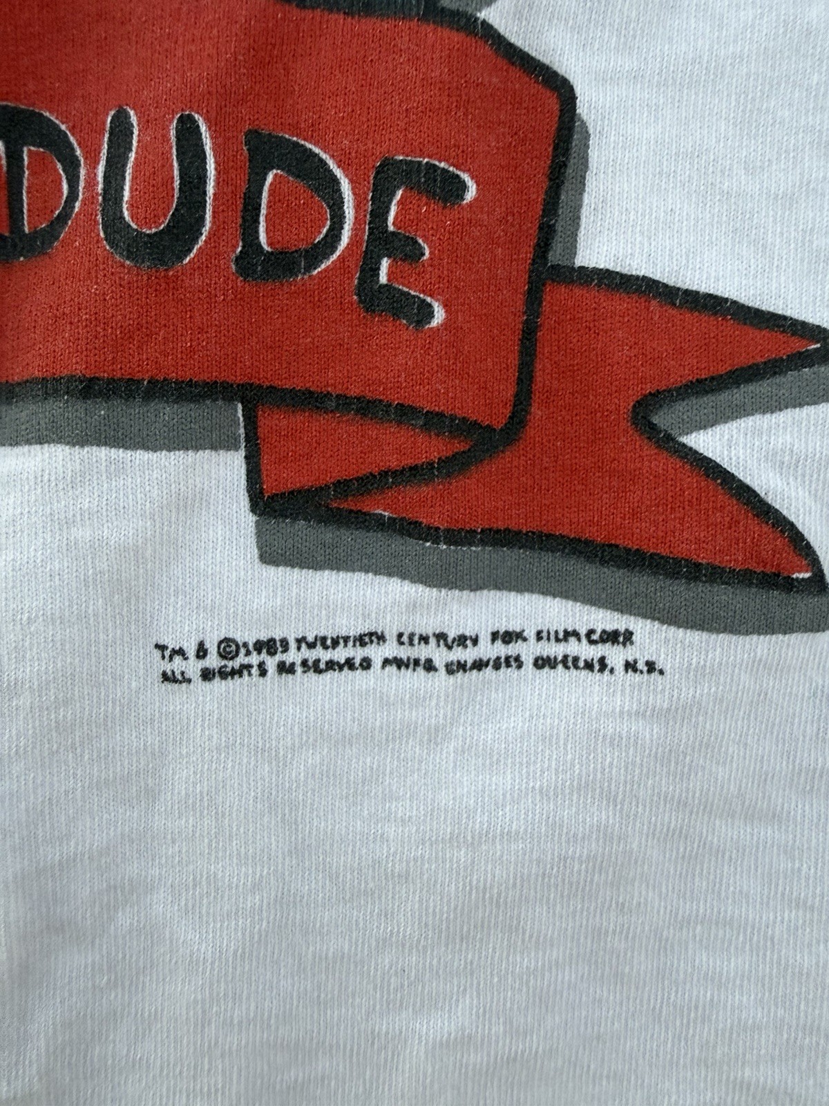 Fruit of the Loom Bart Simpson Radical Dude Graphic Tee White M Preshrunk gallery
