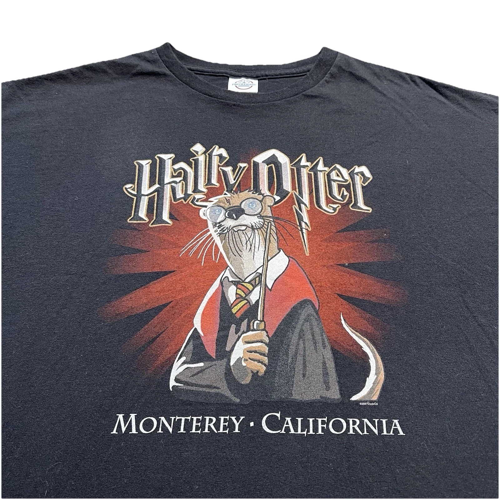 Vintage Y2K Hairy Otter Harry Potter Parody T Shirt XL Monterey CA Graphic gallery