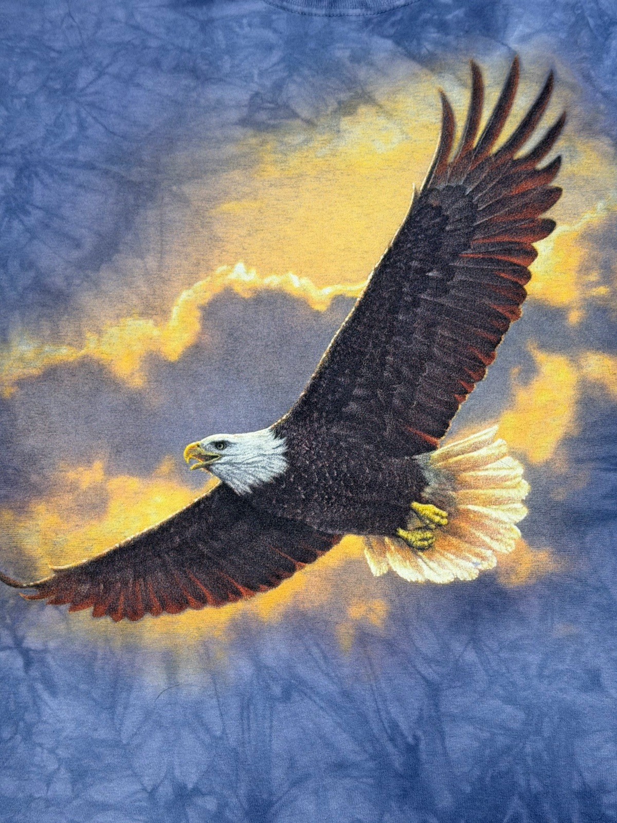 The Mountain Collin Bogle Bald Eagle Sunset Clouds Tie Dye Shirt XL 2015 Nature gallery