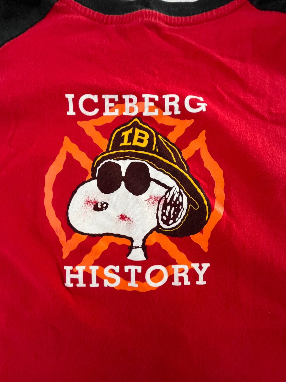 Vintage Iceberg History Peanuts Snoopy Men's Long Sleeve Shirt Size XXL ST45 gallery