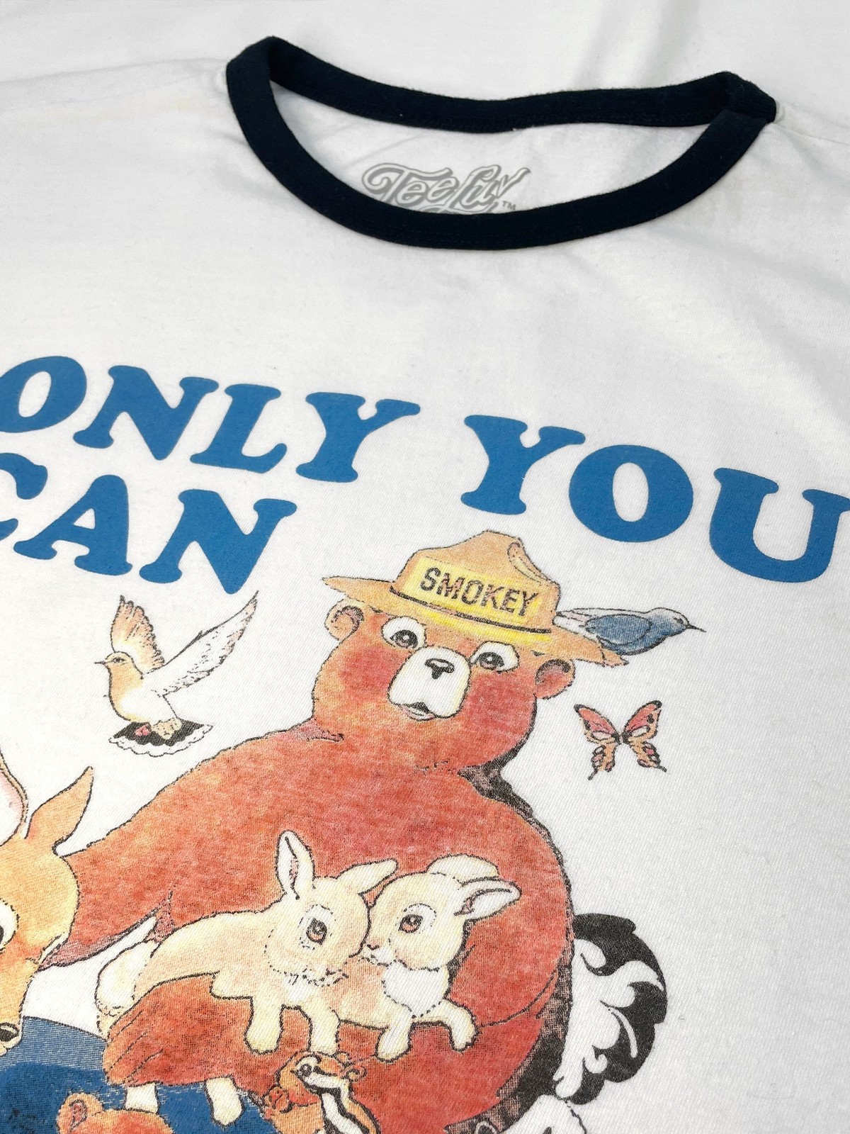 Smokey Bear Only You Can Prevent Wildfires Ringer Mens T Shirt White and Black gallery