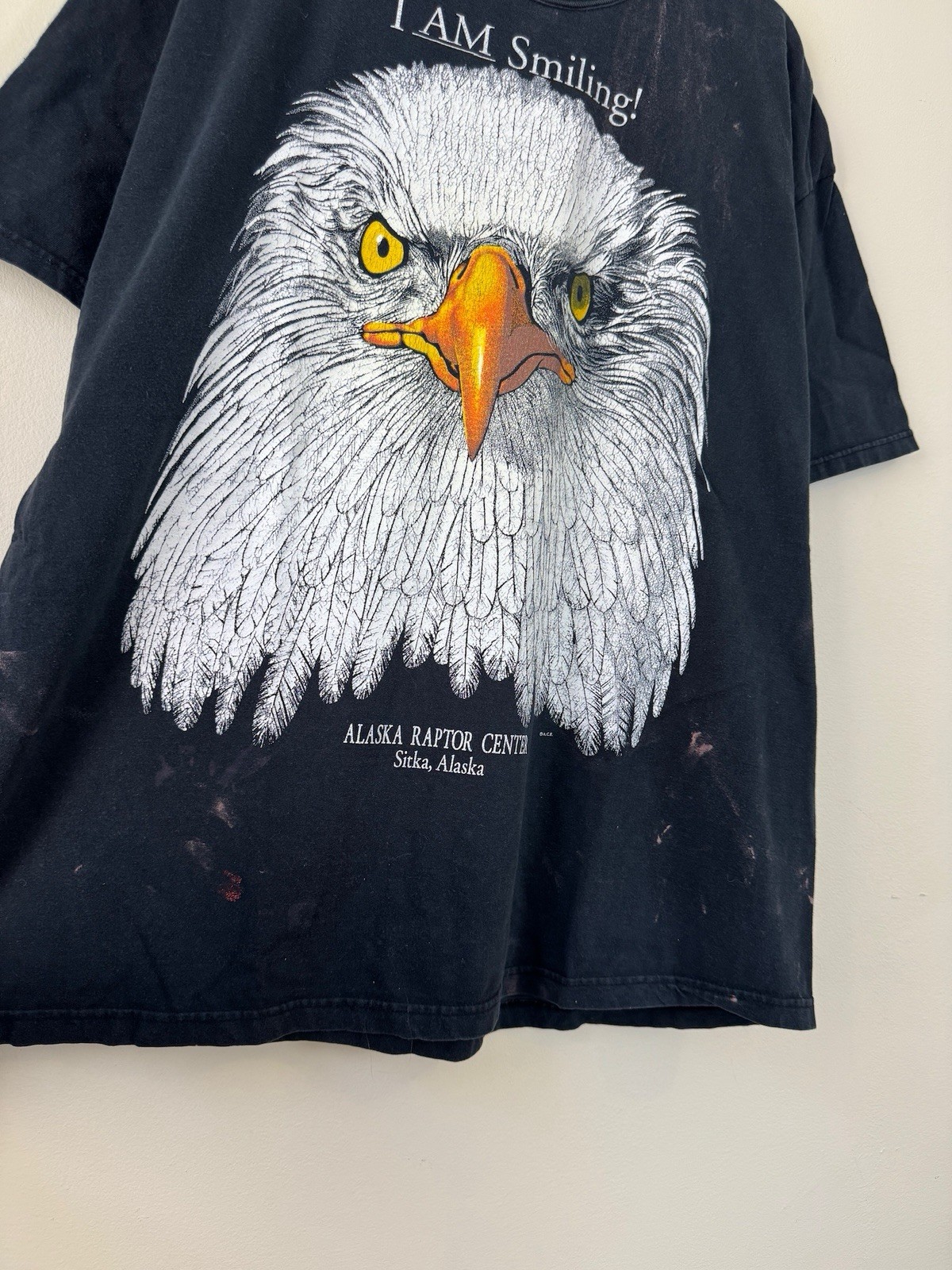Vintage 90’s Nature Animals Bald Eagle Alaska Travel Black Tee Shirt - 2XL gallery
