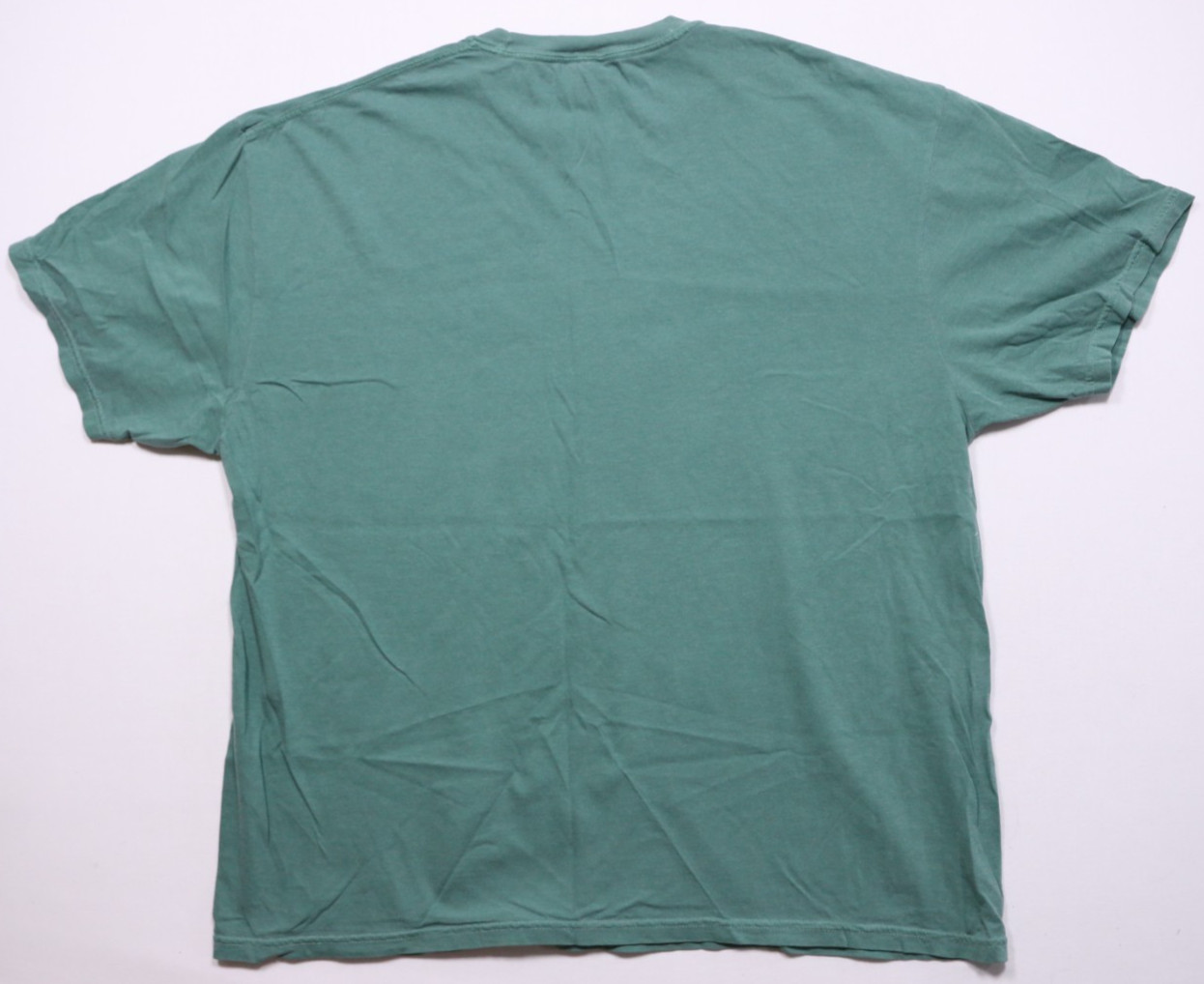 Comfort Colors Whales of the World Sea Life Aqua Green Graphic Tee 2XL Cotton gallery