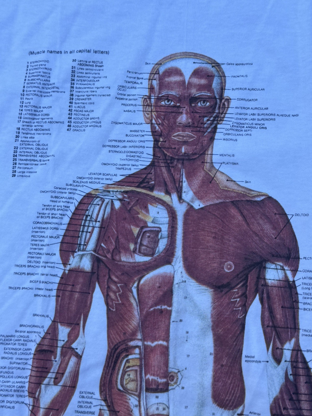 Vintage 90s Kurt Cobain Nirvana Anatomical Chart Tee Fruit of Loom Tag Sz XL gallery