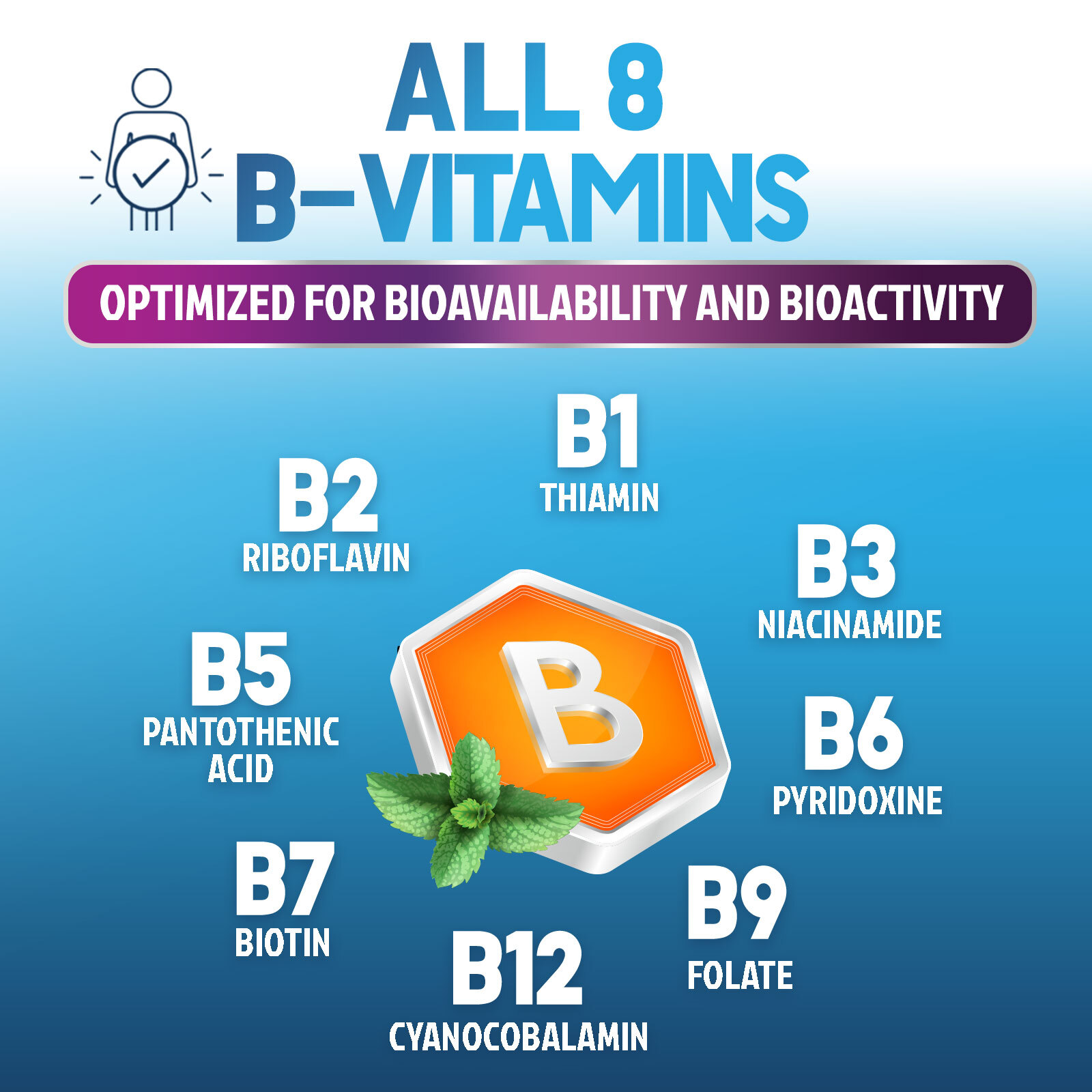Vitamin B Complex Vitamin B Supplement – B-Complex Vitamins with B12, B6, B9
