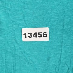 American Eagle Shirt Mens Medium Teal Blue Eagle Graphic Classic Fit Applique
