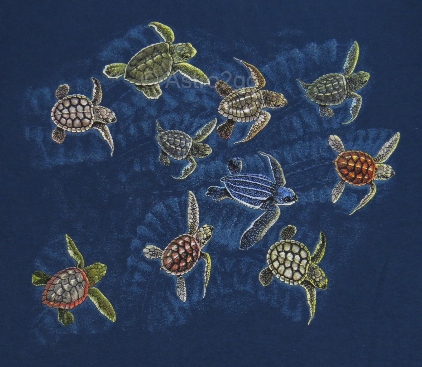 RACE FOR SURVIVAL-Sea Turtles Marine Ocean Aquatic Science Nature T shirt S, 3XL gallery