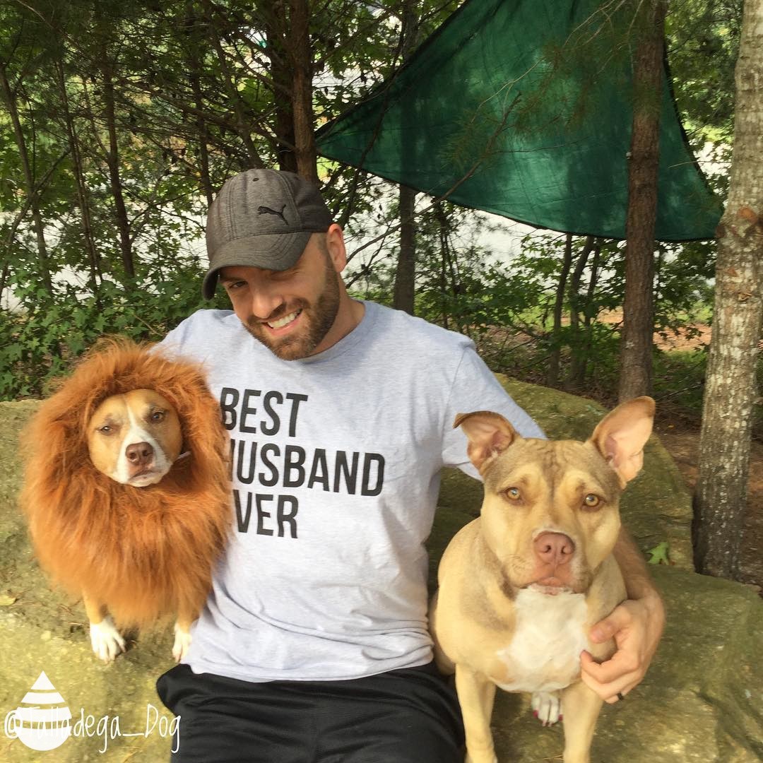 Mens Best Husband Ever T Shirt Funny Saying Novelty Tee Gift for Dad Cool Humor gallery