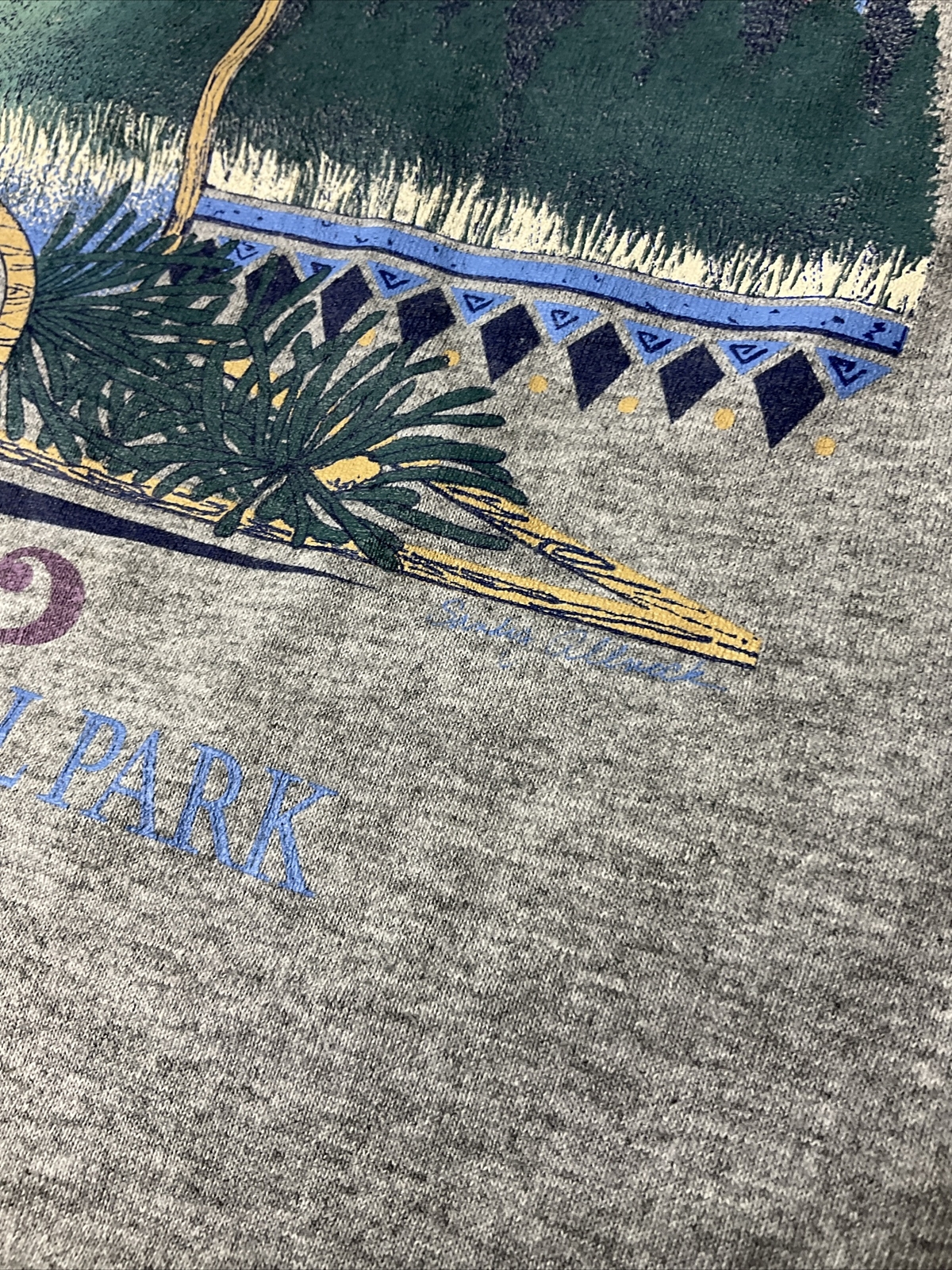 Vintage 90s Colorado Shirt Sz M Rocky Mountain National Park Graphic Tee USA gallery