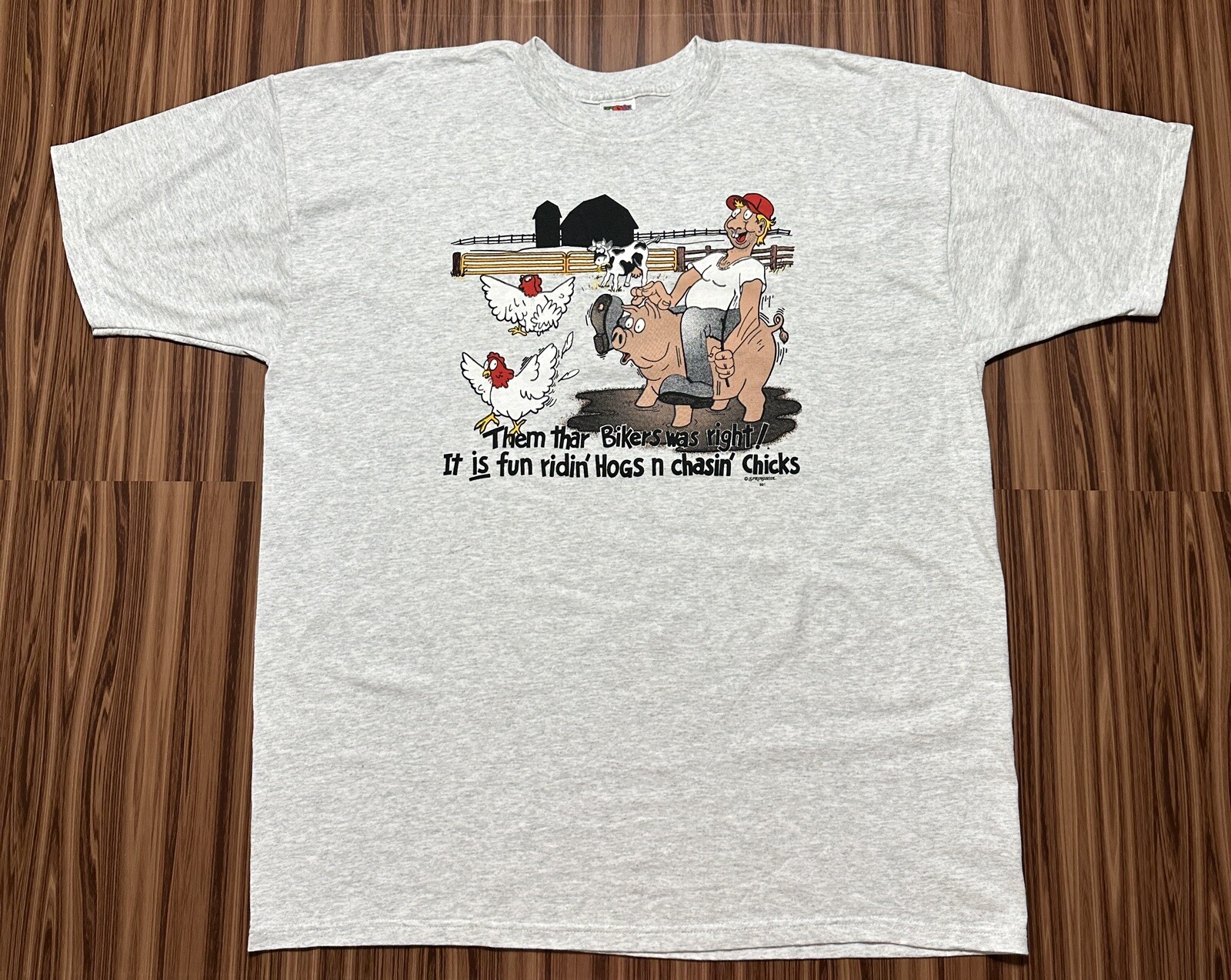 Biker Men's T Shirt 2XL Gray Heathered Riding Hogs Chasing Chicks Motorcycle gallery