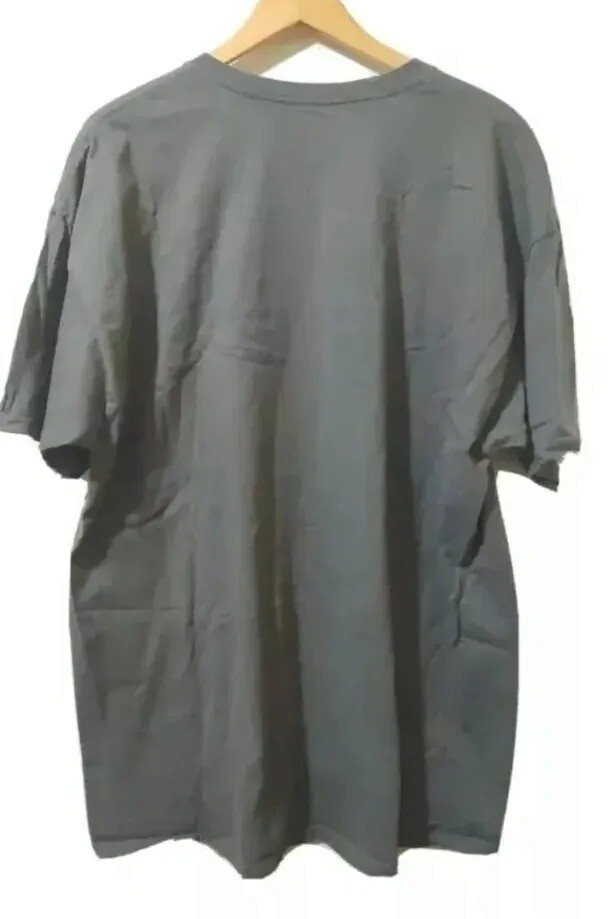 Hanes ComfortSoft T-Shirt Mens 2XL/TG Gray Short Sleeve Cotton Graphic Tee gallery