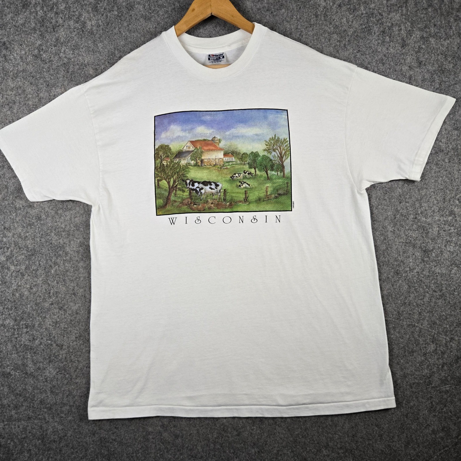 Vintage Wisconsin T-Shirt Mens XL White Cow Farm Graphic 90s Made USA Hanes gallery