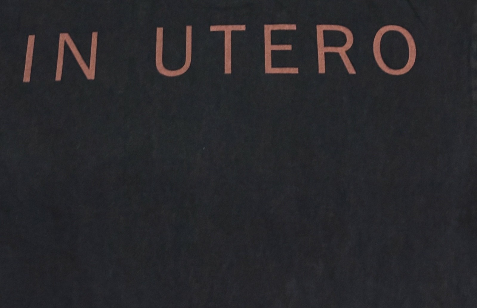 Nirvana In Utero Black Vintage 90s Band Tour Size L Single Stitch Shirt REPRINT gallery