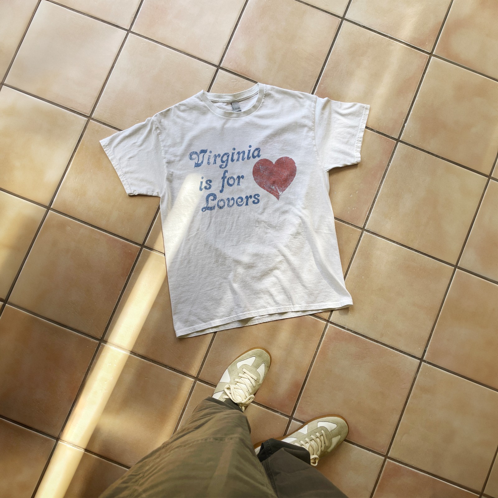 Virginia Is For Lovers Y2k T-Shirt gallery